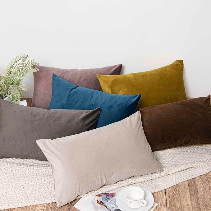 16x24 Pillow Covers Set of 2 Decorative Velvet Throw Pillow Covers,Cloud | Luxury Soft Cushion Covers with Invisible Zipper for Couch Sofa Bed Living Room Bedroom Home Decor