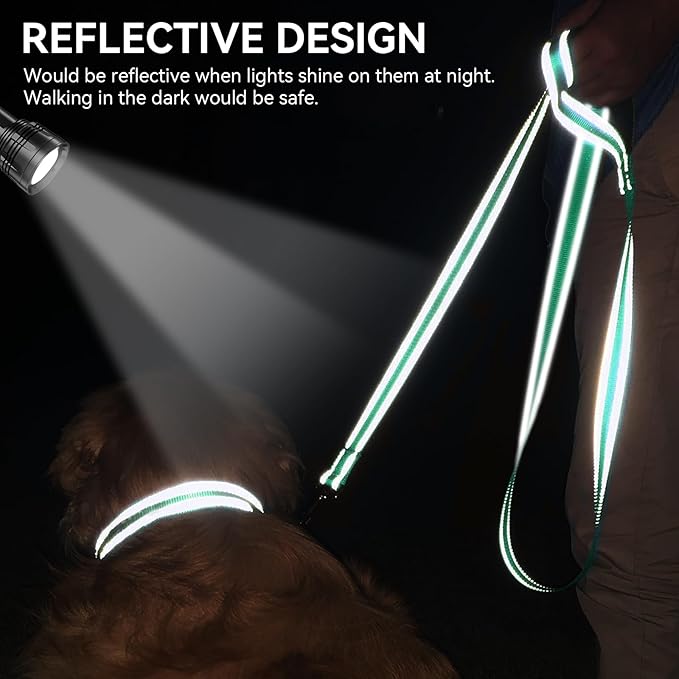 Joytale Dog Leash, 5 FT Double-Sided Reflective, Padded Handle Nylon Heavy Duty Leashes for Small Dogs Walking, Teal