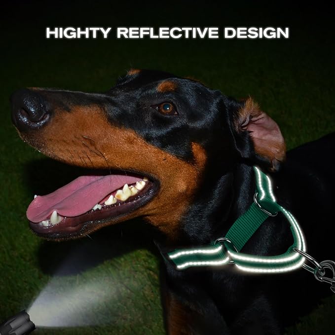 Joytale Martingale Collar for Dogs, Reflective Heavy Duty for Safety, Quick Release Buckle, Adjustable Nylon Collars for Puppy and XSmall Dogs Walking Training, Green,XS