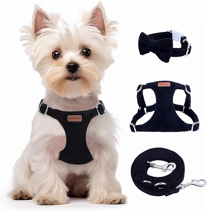 Dog Harness and Leash Set, XXS No Pull Adjustable Puppy Harness with Multifunction Pink Dog Leash and Dog Collar, Soft No Choke Escape Proof Pet Harness Vest for Small Dogs and Cats (Black, S)