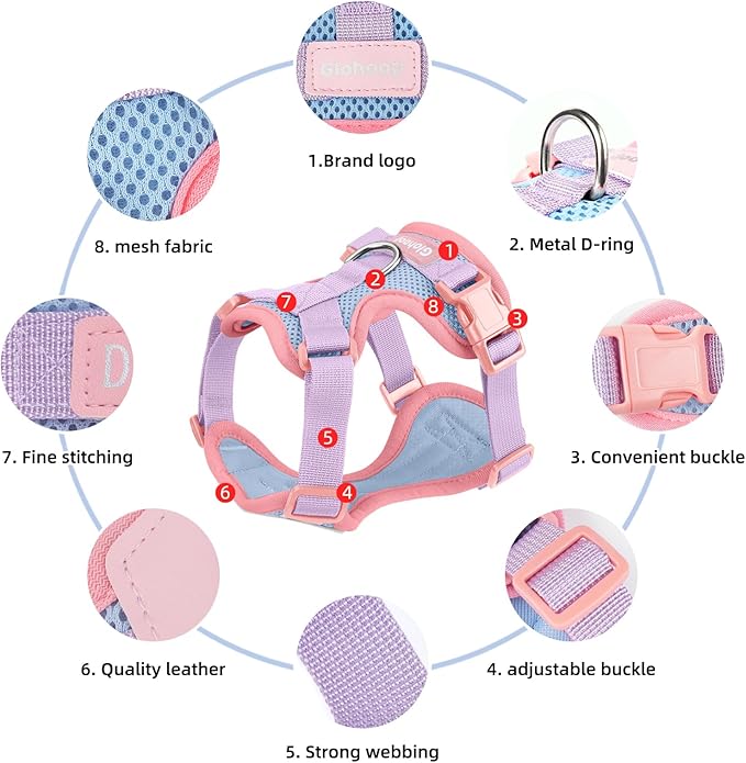 Small Dog Harness and Leash Set, Breathable Mesh Puppy Harness, Adjustable Dog Harness for Small Medium Large Dogs, No-Pull Pet Harness for Daily Walking (Blue, Small)