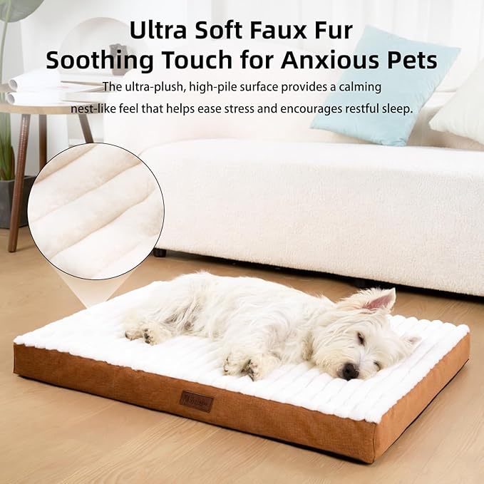 Orthopedic Dog Bed with Firm High-Density Egg Crate Foam Mattress,Soft Short Plush Surface Pet Beds,Machine Washable with Removable Cover & Non-Slip Bottom for Small Breeds(Brown, 23"L x 17"W x 3"H)
