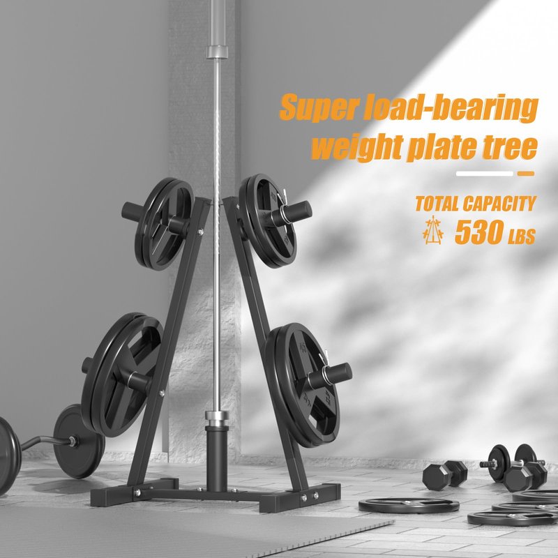 Weight Plate Rack, Bongkim Weight Tree and Weight Rack for Plates, Weight Holder for 2 inch Olympic Weight Plate, Weight Plate Storage for Home Gym