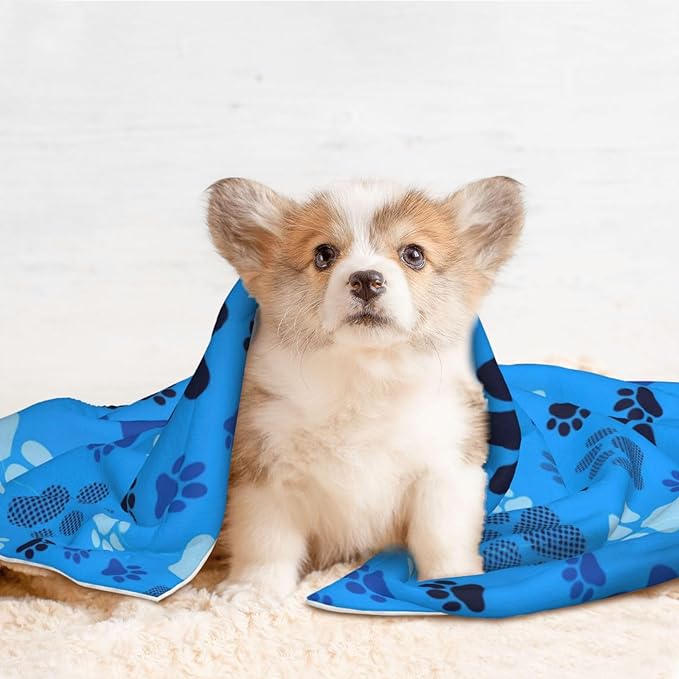Pet Blanket for Car Rides Vet Visits, Blue Puppy Pug Dog Paw Print, Two Sided Reversible Plush Design with Bumpy Dot Side Offers Comfort Home Piece On Go Travel