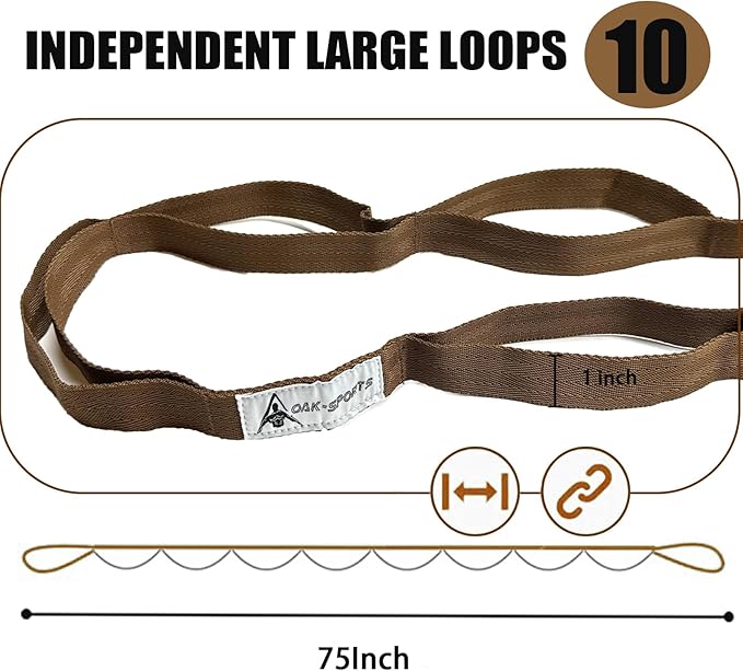 Stretching Strap Yoga Strap with Loops, Stretch Straps for Physical Therapy, Non-Elastic Exercise Strap for Pilates, Dance and Gymnastics with Workout Guide