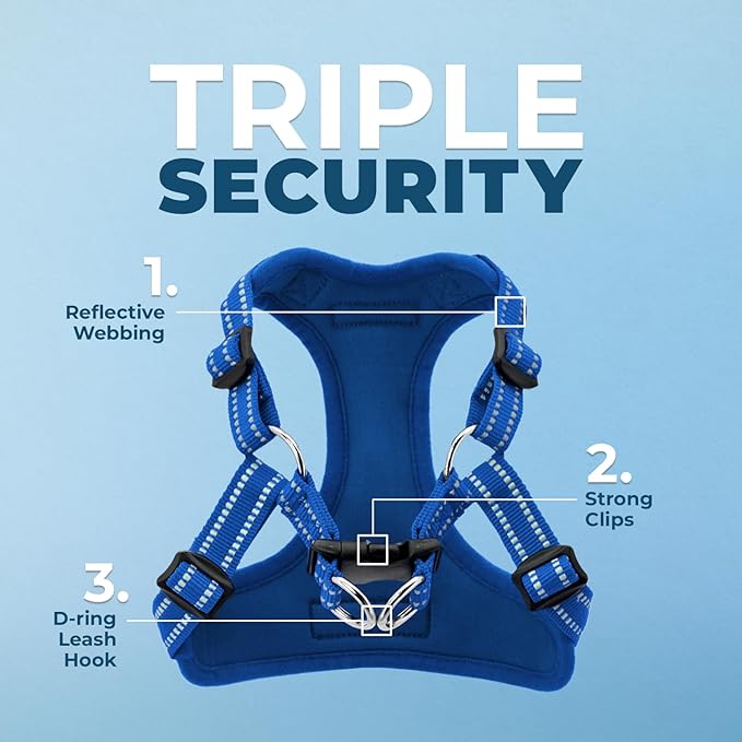 Best Pet Supplies Voyager Adjustable Step-in Flex Breathable Mesh Dog Harness for Small Medium Large Dogs (Royal Blue), M