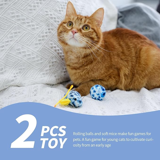PAWISE Cat Litter Box Set, Small Cat Kitten Starter Kit, Include Cats Toilet Kitten Litter Pan, Cat Litter Scoop, Double Dish Cat Bowl, Cat Mouse Toy, Cat Ball Toy