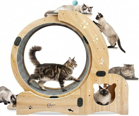 6-in-1 Cat Exercise Wheel - Quiet Wood Cat Treadmill with Cat House, Tree & Feeding Bowls - Sturdy Indoor Cat Activity Center for Running & Play - Large Cat Furniture with Scratching Pad