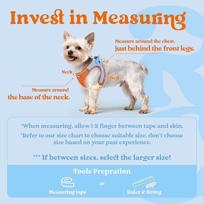 rabbitgoo Small Dog Harness, Step-in Soft Mesh Puppy Vest with Safety Buckle, Breathable Reflective Pet Harness for Small Sized Dogs, Blue & Orange S