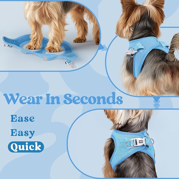 rabbitgoo Small Dog Harness, Step-in Soft Mesh Puppy Vest with Safety Buckle, Breathable Reflective Pet Harness for Large Dogs, Blue XXL