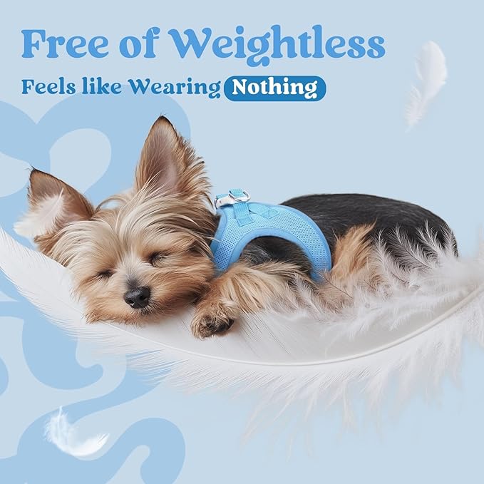 rabbitgoo Small Dog Harness, Step-in Soft Mesh Puppy Vest with Safety Buckle, Breathable Reflective Pet Harness for Small Sized Dogs, Blue M