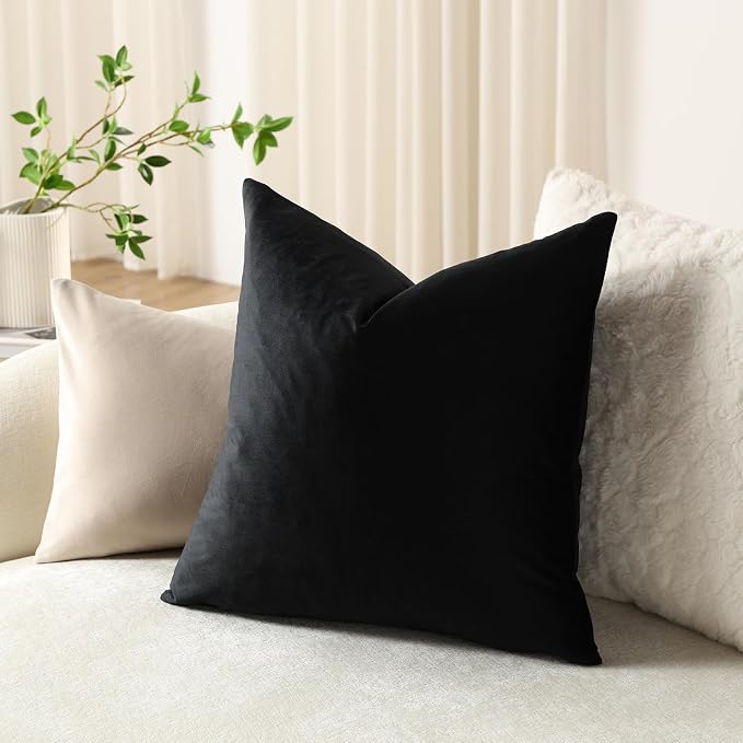 Euro Sham Covers 24x24 Black: Pack of 2 Cozy Soft Velvet Square Modern Luxury Decorative Throw Pillow Cases for Sofa Couch Living Room Bed Home Decor