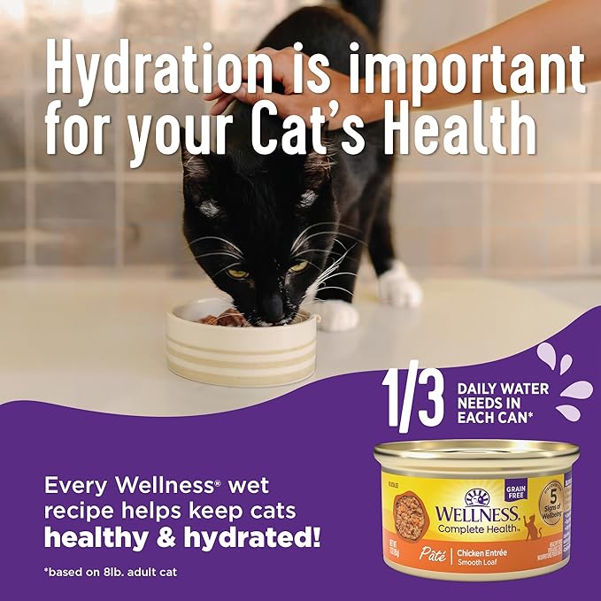Wellness Complete Health Pate Adult Wet Cat Food, Natural, Protein-Rich, Grain Free, 5.5 Ounce, 24 Pack, (Turkey)