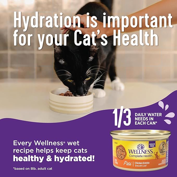 Wellness Complete Health Sliced Adult Wet Cat Food, Natural, Protein-Rich, Grain Free, 5.5 Ounce, 24 Pack, (Salmon Entrée)