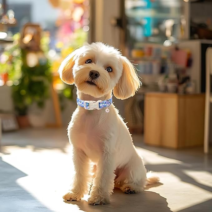 Floral Dog Collar for Medium Dogs - Cute Spring Dog Collars, Soft Lightweight Bee & Daisy Puppy Collar, Breathable Adjustable Male Female Blue Wildflowers Dogs Collars M