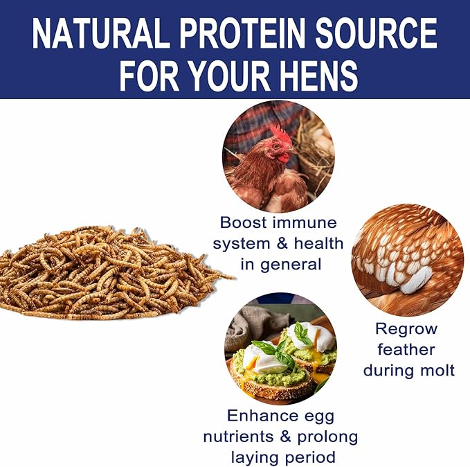 RANZ 5LBS Non-GMO Dried Mealworms for Chickens, High Protein Meal Worms, Premium Chicken Feed, Perfect Bird Food and Chicken Treats, Whole Large Mealworms for Wild Birds, Ducks, Fish