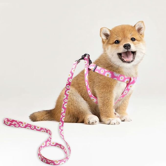 QQPETS Dog Harness Leash Set Adjustable Heavy Duty No Pull Halter Harnesses for Small Medium Large Breed Dogs Back Clip Anti-Twist Perfect for Walking (S(14"-20" Chest Girth), Daisy)