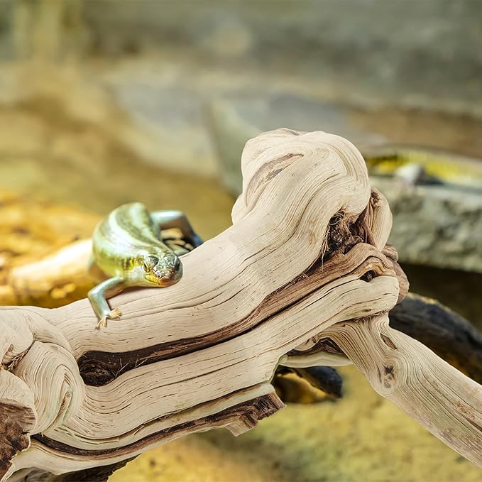 Janinka 18-20" Length Large Wood Reptile Branch for Bearded Dragon Driftwood Reptile Climbing Habitat Decoration for Terrarium Tree Trunk Ornament Gecko Frog Chameleon Spider