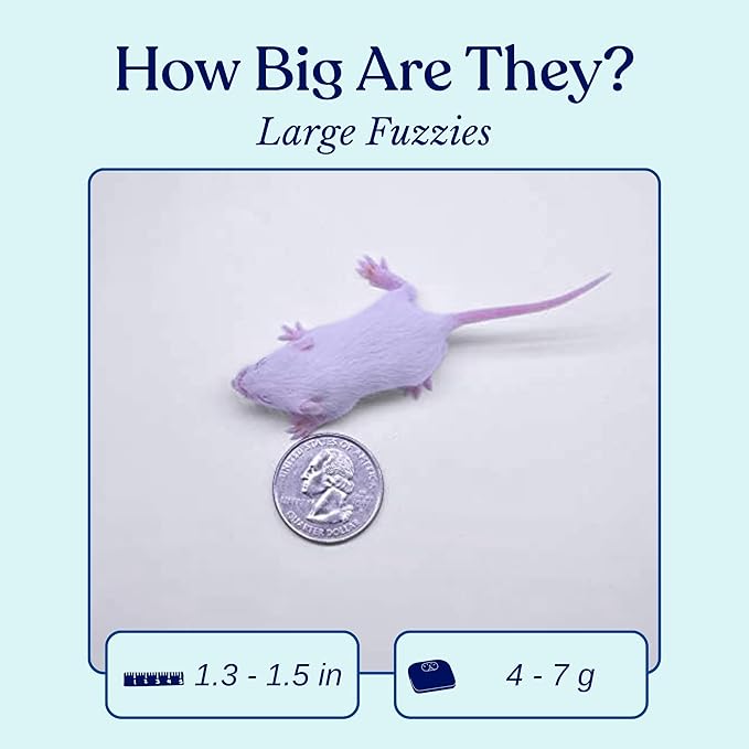 MiceDirect EST. 2003 40 Frozen Mice Fuzzie Feeders Snake Food for Juvenile Hognose Corn milks (1.25-1.5 in) (160 Grams Min)