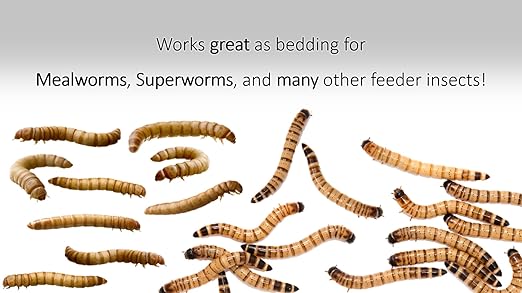 Wheat Bran Bedding & Gutload for Mealworms, Superworms, and Feeder Insects – 24 lb (384 oz) by Five-Star Feeders