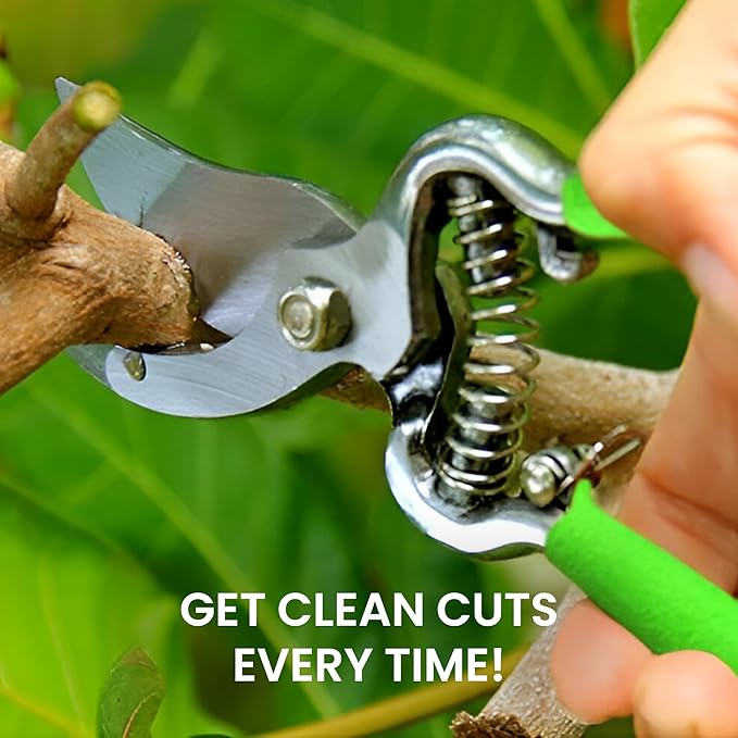 Garden Guru Classic Bypass Pruning Shears Clippers ??Heavy Duty Forged Steel Garden Pruners ??Safety Lock ??Non Slip Comfort Grips ??Cuts up to 1????Professional Bypass Pruners for Gardening (2 Pack)