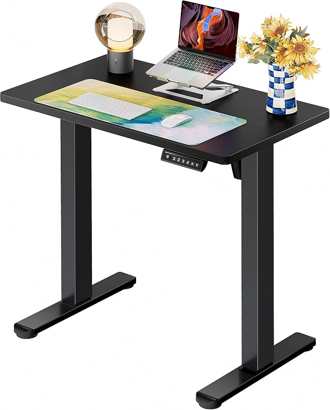 ErGear 31 X 19 Inch Height Adjustable Electric Standing Desk, Black | Smooth Height Adjustment, 4 Memory Presets, One-Touch Control, Stable Steel Frame, 176 lbs Capacity, Easy Assembly