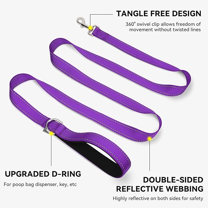 Joytale Dog Leash, 6 FT Double-Sided Reflective, Padded Handle Nylon Heavy Duty Leashes for Small Dogs Walking, Purple