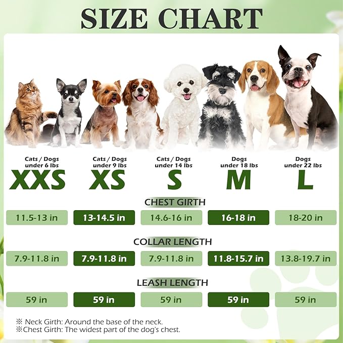EXPAWLORER Small Dog Valentines Harness and Leash Set - Cute Puppy Harness Leash Dog Collar with AirTag Holder Silicone Case, Soft Padded Step in Pet Vest Reflective for Outdoor Walking, Heart S