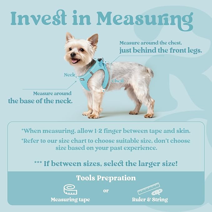 rabbitgoo Small Dog Harness, Step-in Soft Mesh Puppy Vest with Safety Buckle, Breathable Reflective Pet Harness for Small Sized Dogs, Mint Blue XS