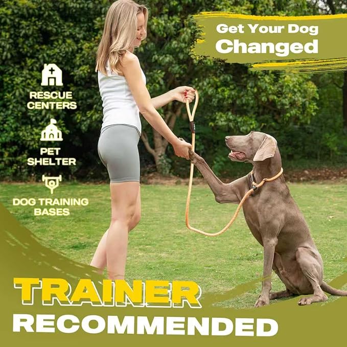 Fida Durable Slip Lead Dog Leash, 6 FT x 3/8" Heavy Duty Dog Loop Leash, Comfortable Strong Rope Slip Leash for Small Dogs and Puppies, No Pull Pet Training Leash with Highly Reflective (3/8", Orange)