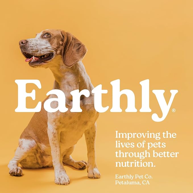 Earthly Pill Buddy Naturals - Honey Recipe Pill Hiding Treats for Dogs - Make A Perfect Pill Concealing Pocket Or Pouch for Any Size Medication - 90 Servings