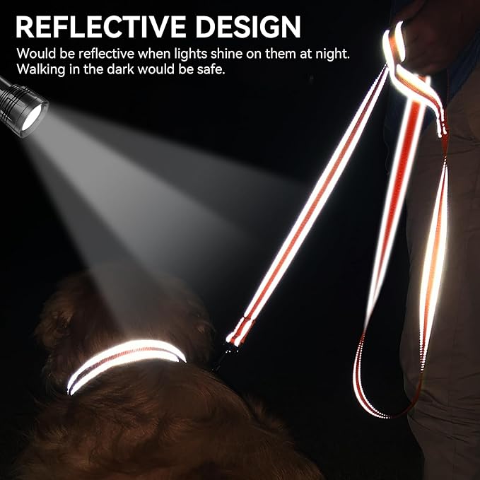 Joytale Dog Leash, 5 FT Double-Sided Reflective, Padded Handle Nylon Heavy Duty Leashes for Small Dogs Walking, Orange