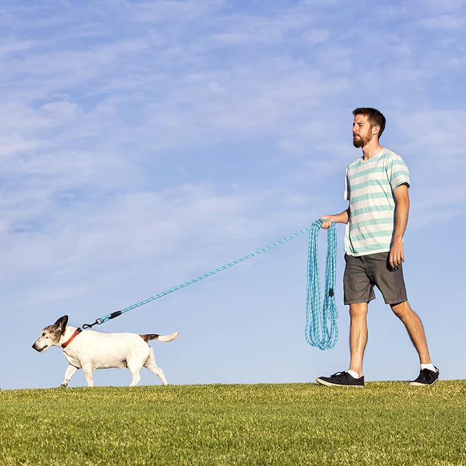 Long Dog Leash for Training 30Ft-Reflective Nylon Rope with Swivel Hook-Recall Agility Lead for Large Small Medium Dogs Outside Walking Hiking-Sky Blue