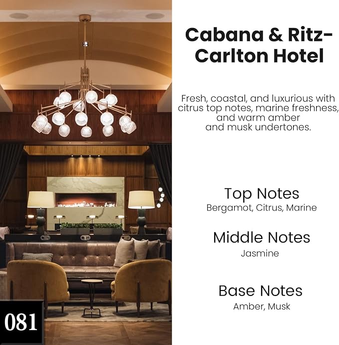HoogaLife Car Air Freshener Hanging 2 Pack - Hotel Collection Diffuser Oil Inspired by Cabane & Rltz. CarIton Hotel - NO.1012 Fragrance Oil, Car Fresheners for Women Made in USA (081)