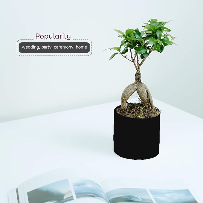 WGVI Matte Black Ceramic Cylinder Vase Width 6.5" Height 6", Flower Arrangements, Candle Holder, Terrarium Planter Pot, Storage Container Organizer, Pen Brush Holder, Table top Decor, 1 Piece