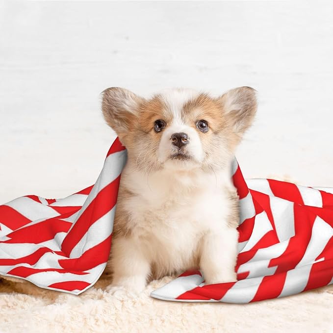 Double Sided Plush Pet Blanket for Small Large Animals, Red White Stripes Christmas Candy Cane, Reversible Throw with Dimpled Dot Side and Flat Side for Kennels Living Rooms