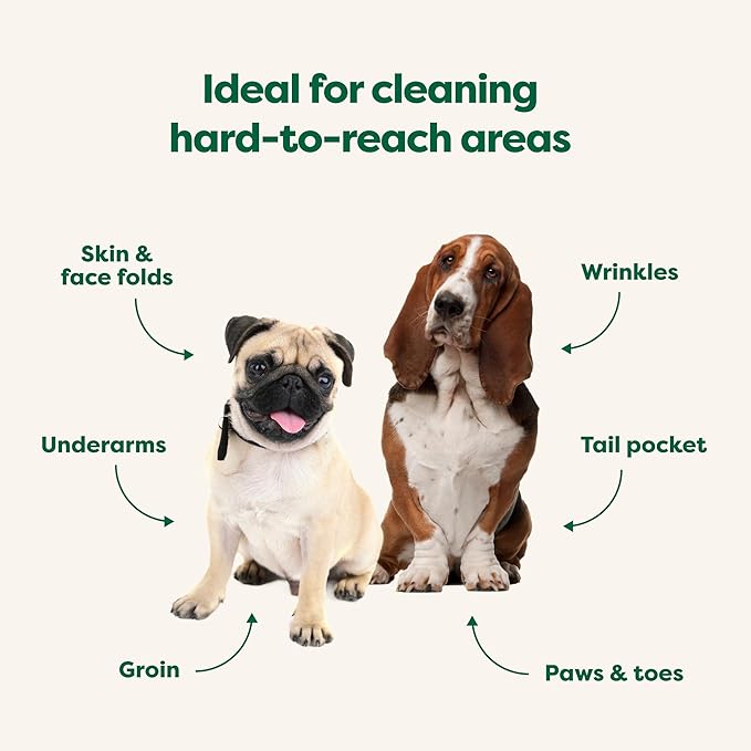 Earth Rated Wrinkle Wipes for Dogs, Perfect for Bulldogs and Pugs, to Cleanse Wrinkles and Folds, Wild Oat Scent, 60 Count