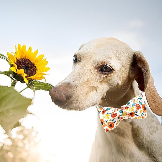 Lionheart glory Dog Collar Bow Collar Floral Dog Collar with Bow Tie Spring Summer Cute Collar Dog Boy or Girl Dog Collars Soft Durable Adjustable Dog Collars for Medium Dogs