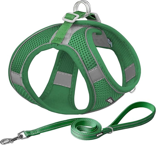 AIITLE Comfortable Dog Harness and Leash Set for Walking - Step in Vest Harness,Reflective Bands, Adjustable No Pull Puppy Essentials, for Small Dogs and House Cats Green XS