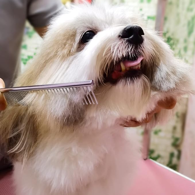 Dog Grooming Kit with Safety Round Tips Stainless Steel Professional Dog Shears Set - Thinning, Curved Scissors and Comb for Cat Pet