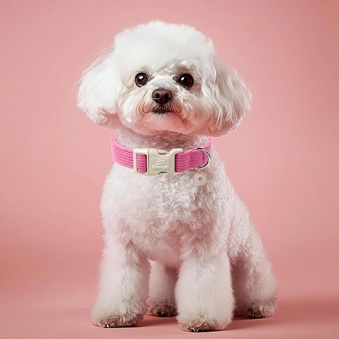 Cute Corduroy Dog Collar - Deep Rose Adjustable Dog Collars for Medium Dogs 25-50lbs, Fade-Proof with Secure Snap & Little Charm, Christmas Birthday Gift, M