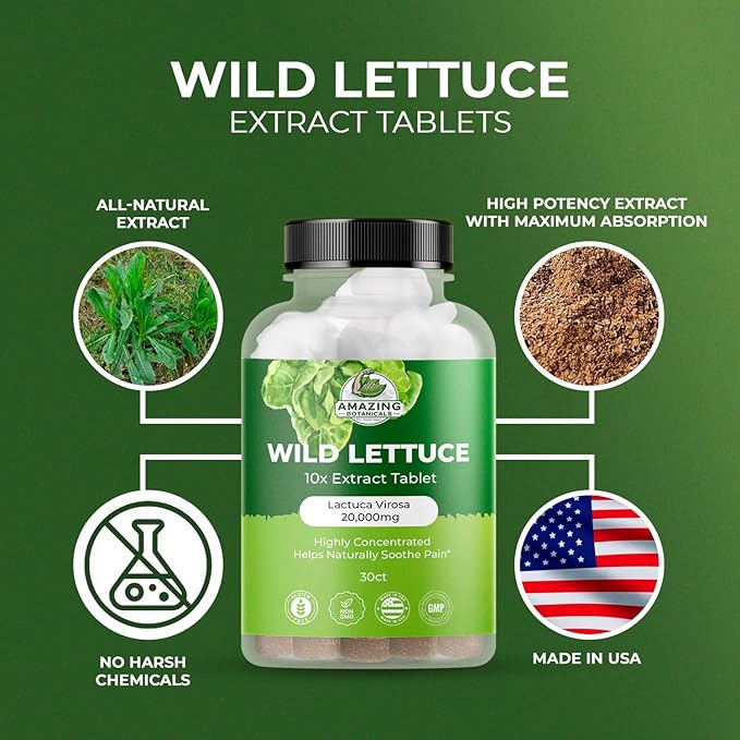 Wild Lettuce Extract Tablets 10X (30 Tablets) 2,000MG Each | Lactuca Virosa | Sleep Support | Helps Naturally Soothe Pain