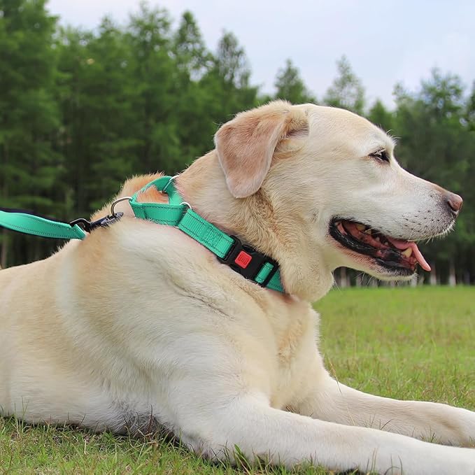 Joytale Martingale Collar for Dogs, Reflective Heavy Duty for Safety, Quick Release Buckle, Adjustable Nylon Collars for Medium Dogs Walking Training, Teal,M