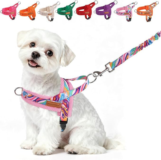 BEAUTYZOO Dog Harness for Small Dogs,No Pull Dog Harness and Leash Set,Soft Escape Proof Puppy Vest Harness with Handle,Reflective Lightweight Step in Harness for Girl Boy Dogs,Pink_Print XS
