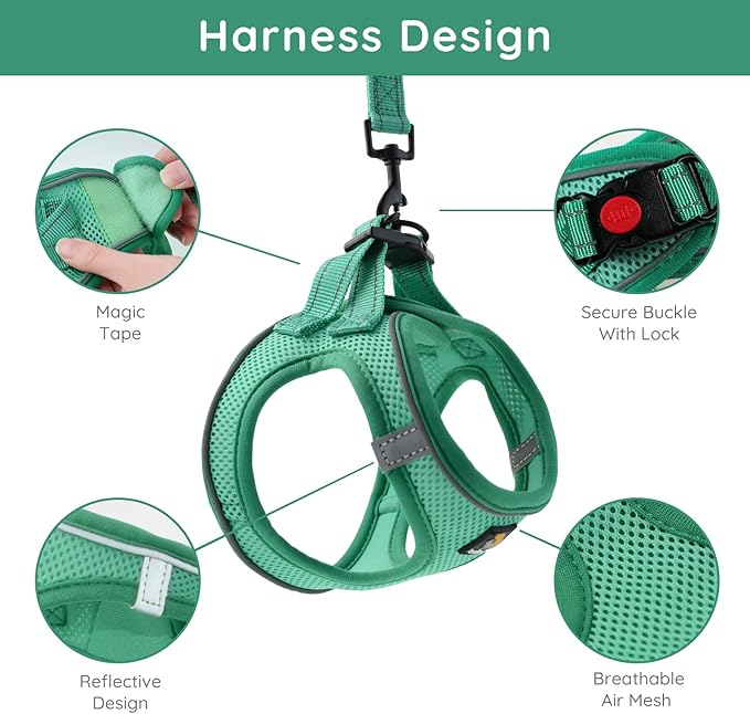 BELLA & PAL Step in Vest Harness for Small and Medium Dogs, No Pull Small Dog Harness with Leash Set, Comfortable Air Mesh Dog Vest Harness with Reflective Strip (Emerald, L)