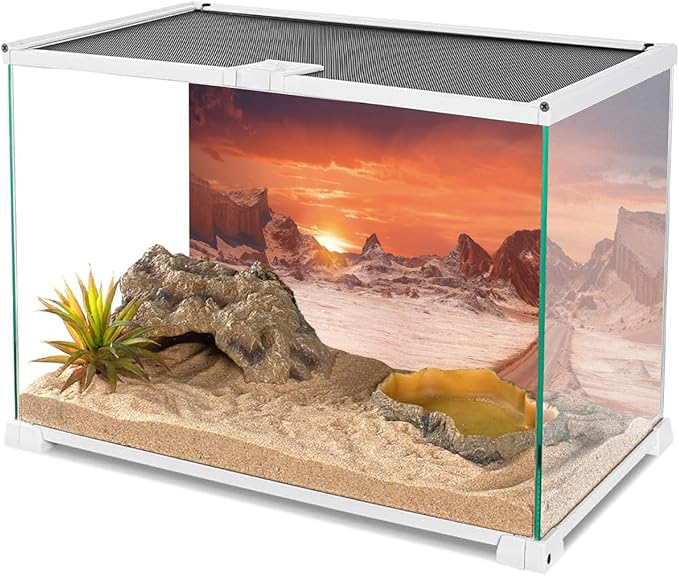 AWERT 48x24 inches Sun and Desert Terrarium Background Orange Reptile Habitat Background Durable Polyester Background