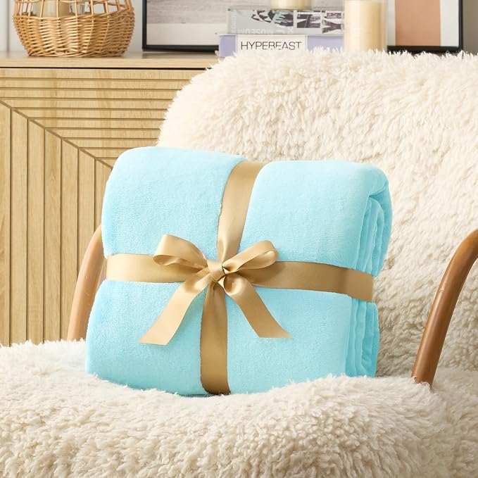 Hansleep Twin Robin Egg Blue Fleece Blanket, Soft Flannel Bed Blanket | Fuzzy Cozy Blanket 60x80 Inches, Multi-use for Bed, Sofa, Couch, Travel, Camping, All Season Warm Lightweight Cover
