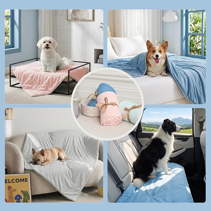 Soulbond Cooling Blanket for Extra Large Dogs - Q-MAX>0.45, Washable Cool Pet Cats Throw Blanket for Hot Weather, Self-Cooling Soft Dog Mat for Bed Crates Couch Sofa Cars(50"x60", Dark Gray)