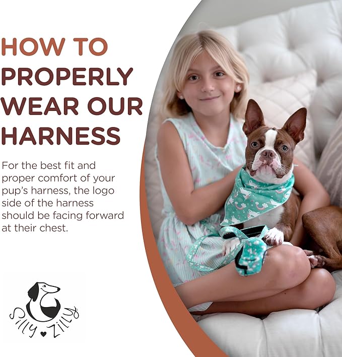 No Pull Harness and Leash Set - 6-in-1 Adjustable Vest Harness and Collars for Medium and Large Dogs. (Tile Unicorn, Medium)