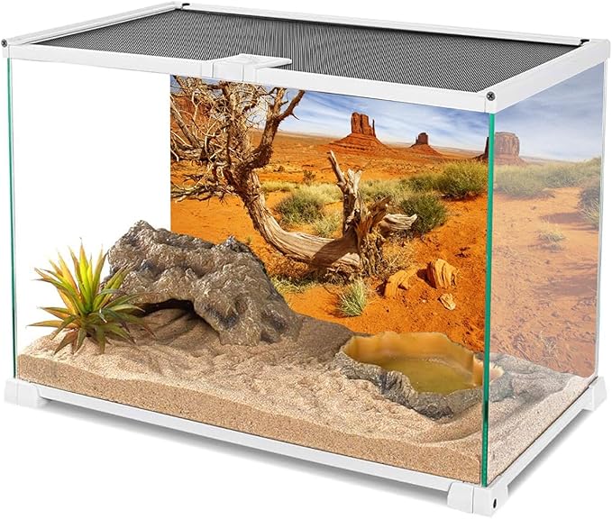 AWERT 24x12 inches Reptile Habitat Background Orange Desert Terrarium Background Durable Polyester Background